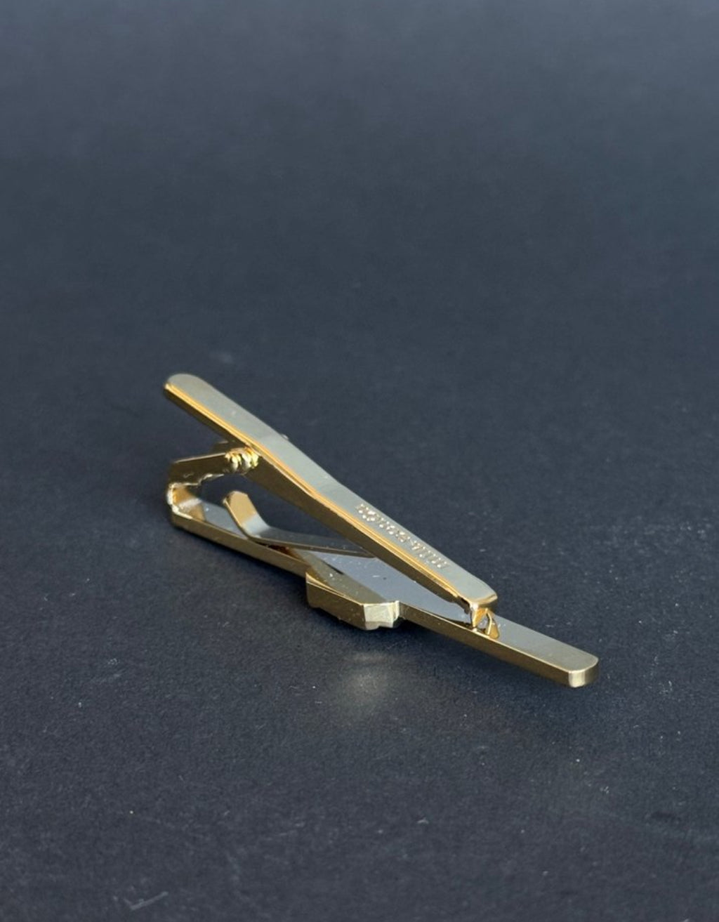 MİLA SCHÖN TİE CLİPS ITALY